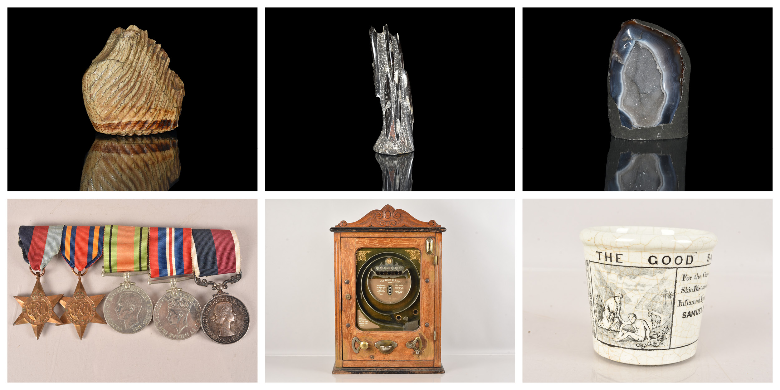 The Collector's Auction - featuring the Natural World