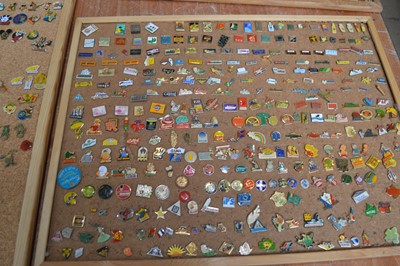 Lot 76 - An extensive collection of modern lepel badges