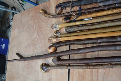 Lot 98 - A collection of walking canes