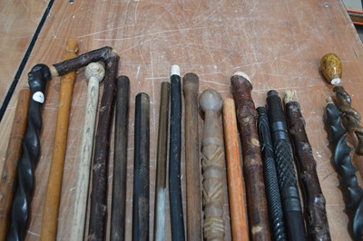 Lot 99 - A good collection of finished and unfinished walking sticks and canes