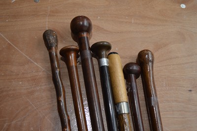 Lot 102 - A small group of walking sticks and canes