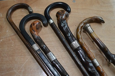 Lot 106 - A collection of silver accessorised walking sticks and canes