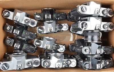 Lot 494 - A Tray of Pentax SLR Camera bodies