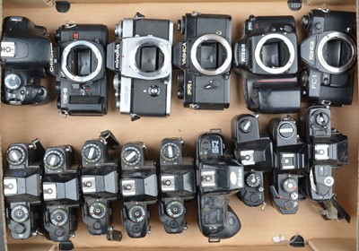 Lot 496 - A Tray of SLR Camera Bodies