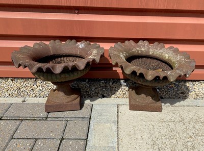 Lot 592 - A pair of weathered case iron garden urns