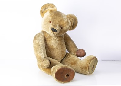Lot 206 - A very large Chad Valley Bear Brand Stocking shop window display Teddy Bear from Birmingham’s Children’s Hospital 1950s