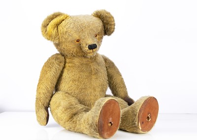 Lot 207 - A very large Chad Valley Bear Brand Stocking shop window display Teddy Bear from Birmingham’s Children’s Hospital 1950s