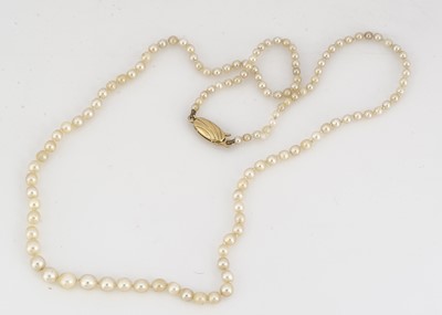 Lot 82 - A graduated string of cultured pearls