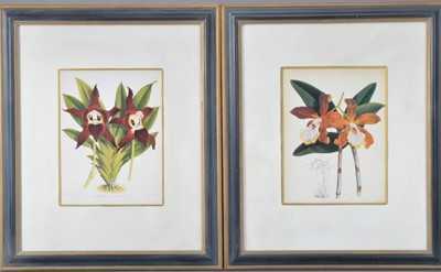 Lot 307 - Four framed botanical book plates