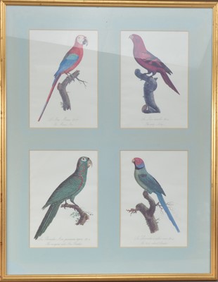 Lot 63 - Four framed bird prints
