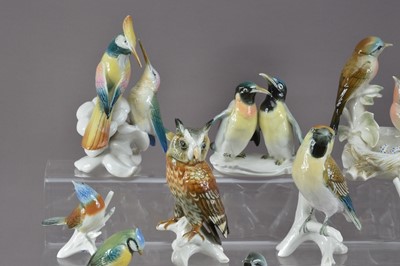 Lot 197 - A large collection of Karl Ens porcelain bird figurines