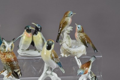 Lot 197 - A large collection of Karl Ens porcelain bird figurines