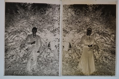 Lot 93 - Early 20th Century Half- and Quarter-Plate Glass Plate Negatives