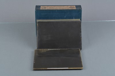 Lot 95 - Half-Plate Glass Negatives