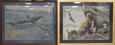 Lot 188 - Four framed natural history chromo-lithographs
