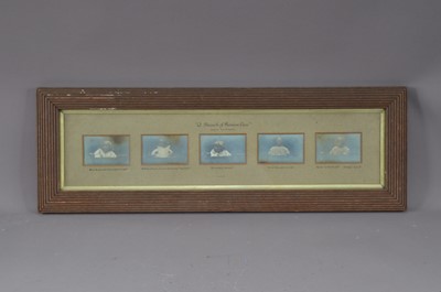 Lot 475 - Framed real photographs of young children