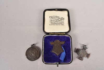 Lot 64 - A Commemoration medallion for the First Bristol International Air Pageant