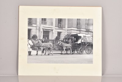 Lot 203 - A late black and white photograph