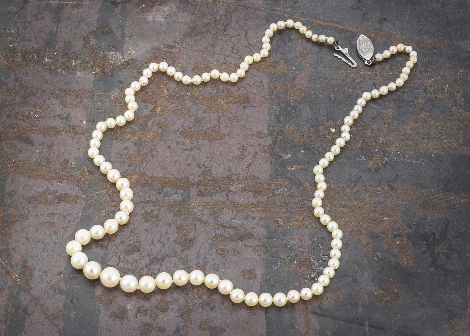 Lot 60 - A string of graduated and knotted cultured pearls