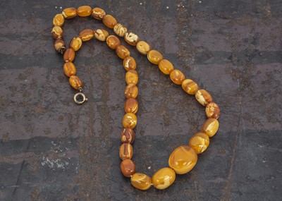 Lot 193 - An Edwardian string of graduated toffee coloured amber beads