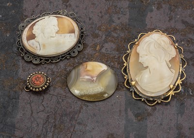 Lot 220 - Two early 20th century shell cameos