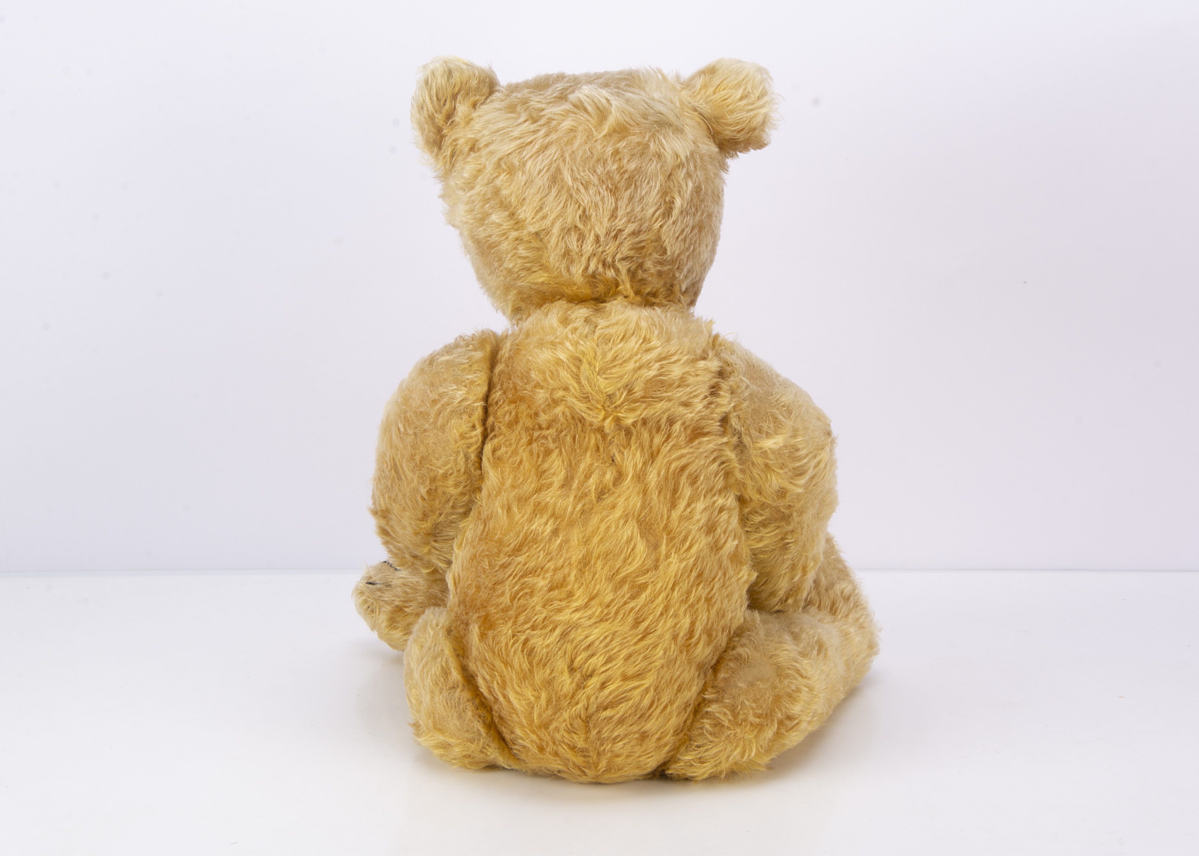 Ours de la marque Steiff, NEUF Ours de la marque Steiff, NEUF