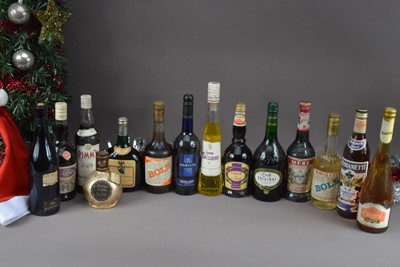 Lot 160 - Fourteen bottles of alcohol