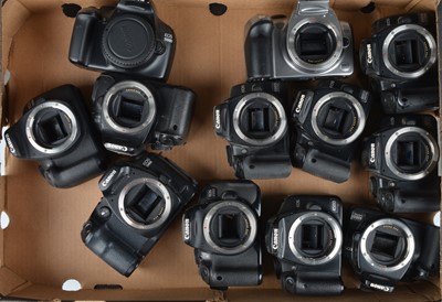 Lot 117 - A Tray of Canon DSLR Camera Bodies