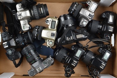 Lot 249 - A Tray of SLR Cameras