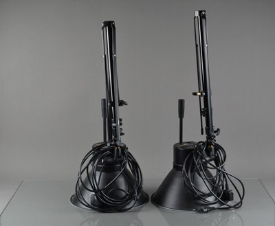 Lot 480 - Two Bowens Tri-Lite BW-3315 Daylight Studio Lights