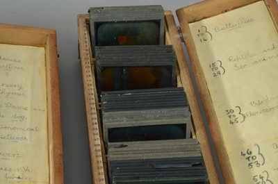 Lot 172 - A large collection of glass slides