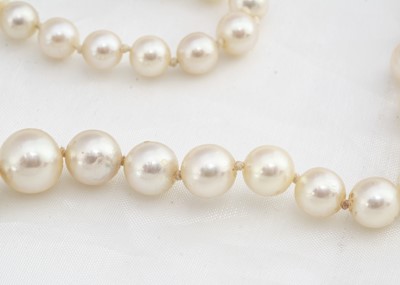 Lot 234 - A string of graduated knotted cultured pearls