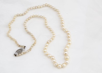 Lot 248 - A string of graduated and knotted cultured pearls