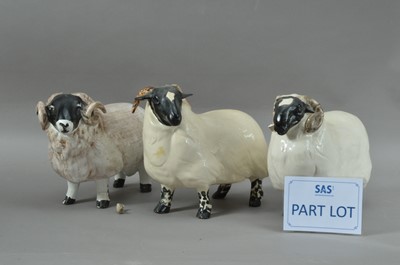 Lot 305 - Three ceramic sheep
