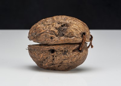 Lot 109 - A 19th century Grodnerthal miniature doll in walnut shell