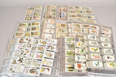 Lot 229 - Botanical Themed Cigarette Card Sets