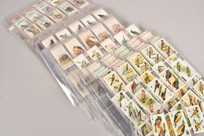 Lot 230 - Ornithological Themed Cigarette Card Sets by Ogdens and Wills