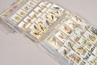 Lot 231 - Ornithological Themed Cigarette Card Sets