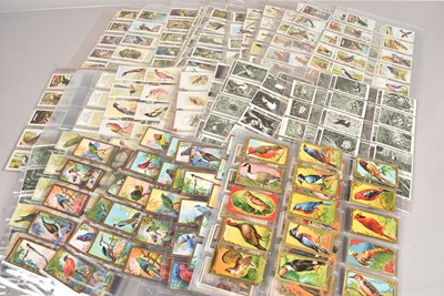 Lot 232 - Ornithological Themed Cigarette Card and Trade Card Sets