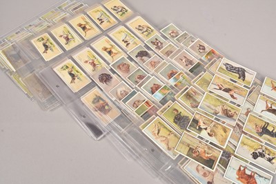 Lot 234 - Dog Themed Cigarette Card Sets