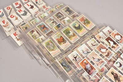 Lot 236 - Fowl  Pigeons and Country Pursuit Themed Sets