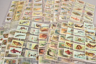 Lot 237 - Marine and River Themed Cigarette Card Sets