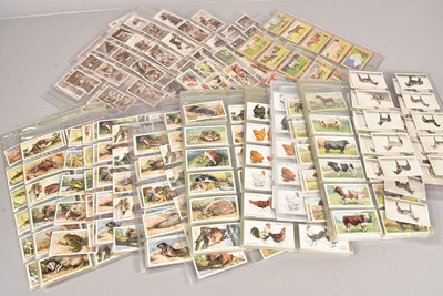 Lot 238 - UK Wildlife and Domesticated Animals and Pets Themed Sets