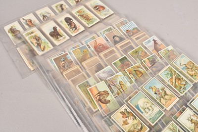 Lot 239 - Wild Animal and Zoo Themed Cigarette Card Sets