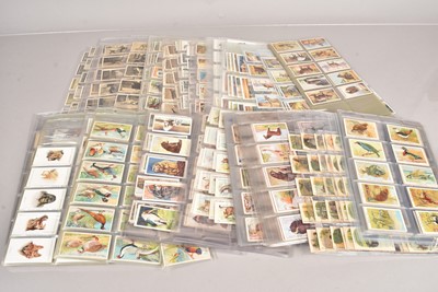 Lot 240 - Wild Animal and Zoo Themed Cigarette Card Sets