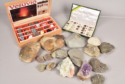 Lot 298 - A collection of Fossils and Minerals