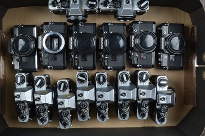 Lot 1 - A Tray of Olympus OM-10 SLR Camera Bodies
