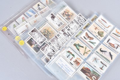 Lot 241 - Natural History Themed Cigarette Card and Trade Card Sets