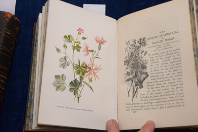 Lot 224 - F Edward Hulme (1841-1909) 'Familiar Wild Flowers' Cassell botanical books
