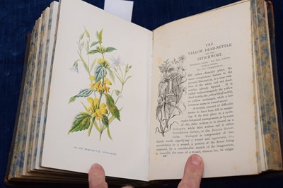 Lot 224 - F Edward Hulme (1841-1909) 'Familiar Wild Flowers' Cassell botanical books
